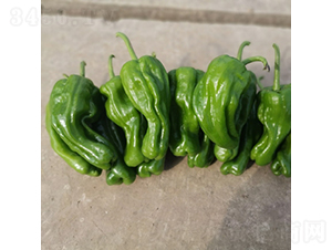 ���ᭇһ̖-�����N��-��������