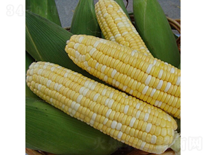 �����A����3̖-���׷N��-��������