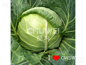 ���A��104-���{�N��-��������