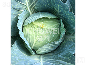 �ʼ�70-���{�N��-��������