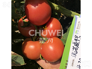 �h�Z��9̖-���ѷN��-��������