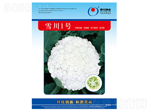 ѩ��1̖-�ɻ��˷N��-�����N�I(y��)