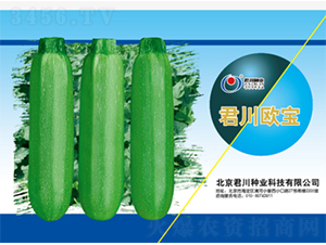 �����W��-�����J�N��-�����N�I(y��)