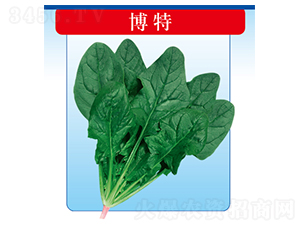 ����-���˷N��-�����N�I(y��)