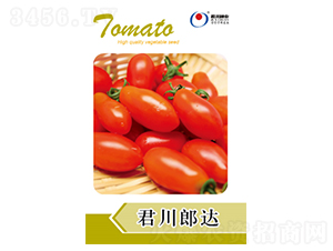 �������_-���ѷN��-�����N�I(y��)