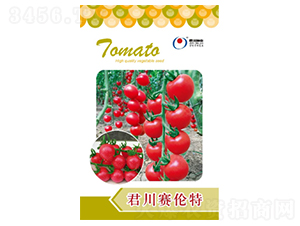 ����������-���ѷN��-�����N�I(y��)