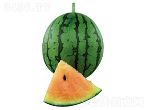 ����С�_-���ϷN��-�����N�I(y��)