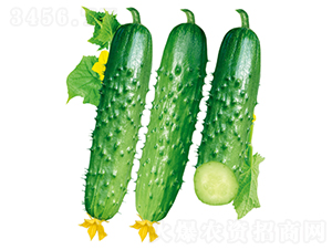 ����(y��u)101-�S�ϷN��-�����N�I(y��)