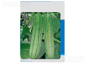 ���S-�S�ϷN��-�����N�I(y��)