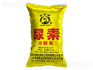 ���w������-�|ƽ��-��(r��n)�y����