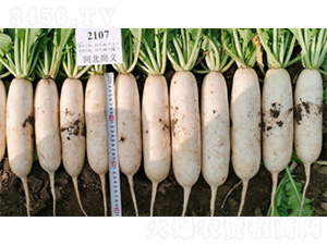 ��������-�}���N��-�����N�I(y��)