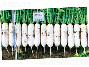 ��������-�}���N��-�����N�I(y��)