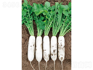 ��������(y��u)-�}���N��-�����N�I(y��)