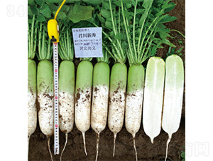 ��������-�}���N��-�����N�I(y��)