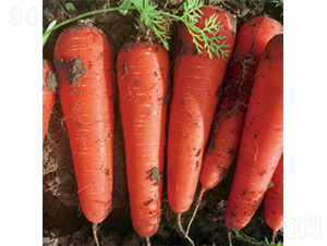 ���ϼt�G-���}���N��-�����N�I(y��)