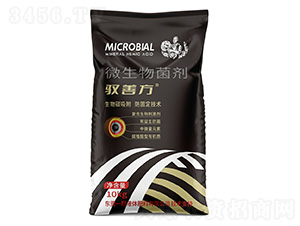 �S�Ʒ�΢�������-�l(xi��ng)ϲ