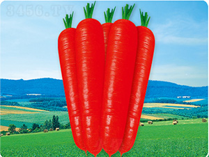 �V��3̖(h��o)-���}���N��-�����N�I(y��)