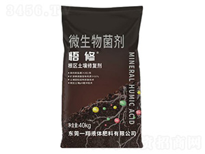 ����΢�������-�l(xi��ng)ϲ