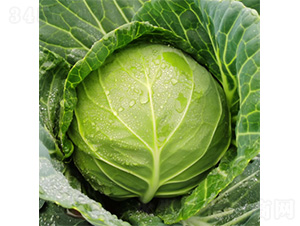 ���v3̖-���{�N��-�����N�I(y��)