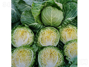 ����һ̖-���{�N��-�����N�I(y��)