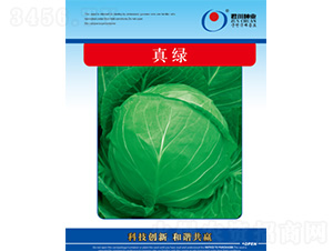 ��G-���{�N��-�����N�I(y��)