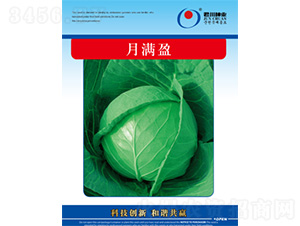 �Mӯ-���{�N��-�����N�I(y��)