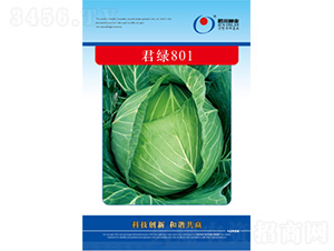 ���G801-���{�N��-�����N�I(y��)