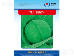 ��������50-���{�N��-�����N�I(y��)