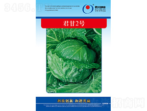 ����2̖-���{�N��-�����N�I(y��)