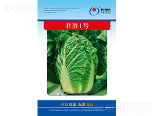 ����1̖-�ײ˷N��-�����N�I(y��)