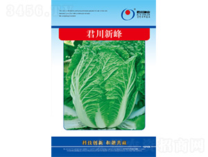 �����·�-�ײ˷N��-�����N�I(y��)