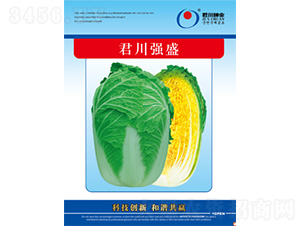 ������ʢ-�ײ˷N��-�����N�I(y��)