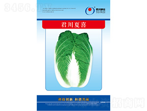 ������ϲ-�ײ˷N��-�����N�I(y��)