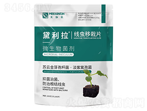 ���x����Ƭ-������-��٤�z