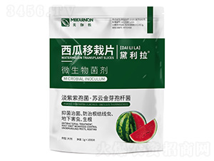 ��������Ƭ-������-��٤�z