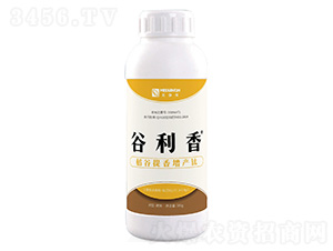 �����������a(ch��n)�-������-��٤�z