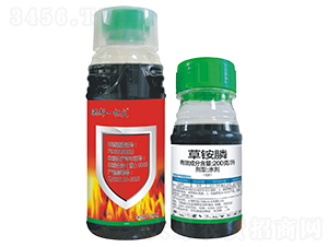 200��/�����@�-�Y��һ�ѻ�-����