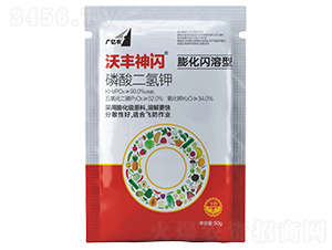 ���W������������-���S���W-����