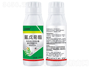 20%�����������-������-����