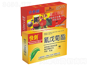 20%�����������-����