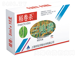 20%����������-����