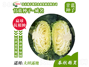 ����177-���{�N��-���S�r�I(y��)