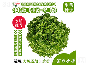 ���~�G-���˷N��-���S�r(n��ng)�I(y��)