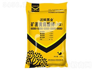 �VԴ�S����⛣����ͣ�-���L�ڽ�