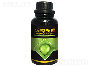 ���L���~