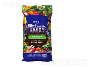 ΢�������-�w���S-��������