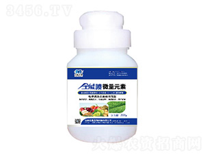 ȫ�܇�-��������