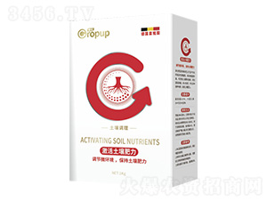 �����{(di��o)����~���-���Z-�¶�����