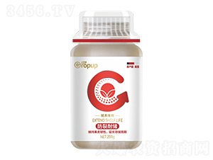 ���|(zh��)��Ч��~���-���Z-�¶�����