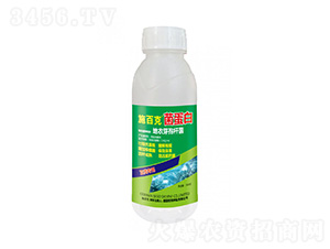 ����þ�����-ʩ�ٿ�-����������